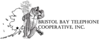 provider-logo